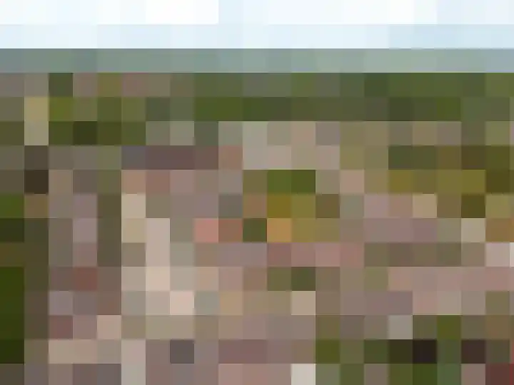 Murenepad 18 Almere thumbnail 34