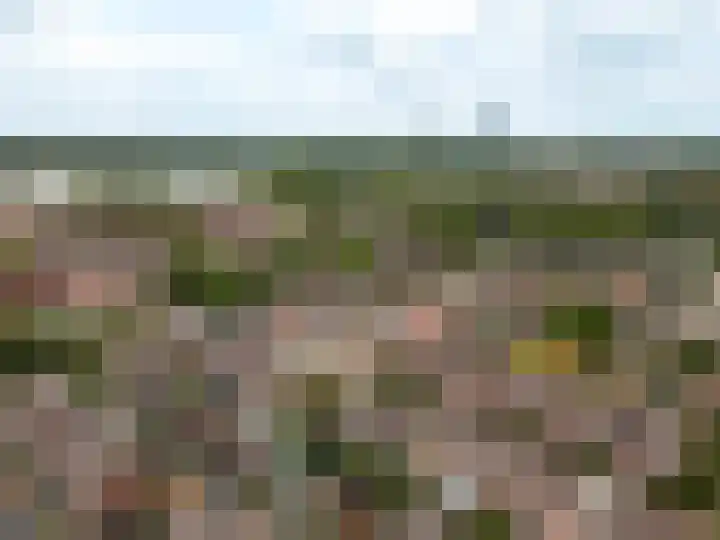Murenepad 18 Almere thumbnail 36