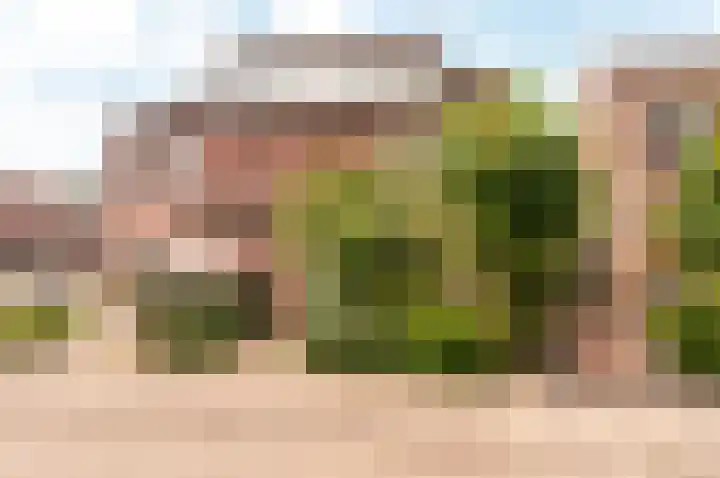 Murenepad 18 Almere thumbnail 38