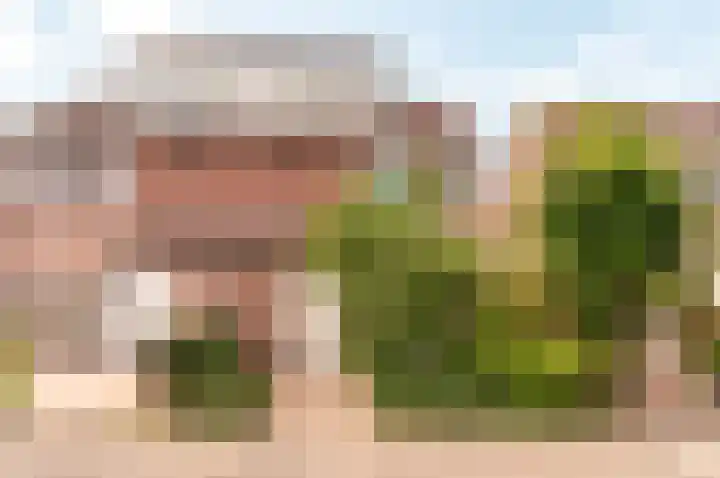 Murenepad 18 Almere thumbnail 39