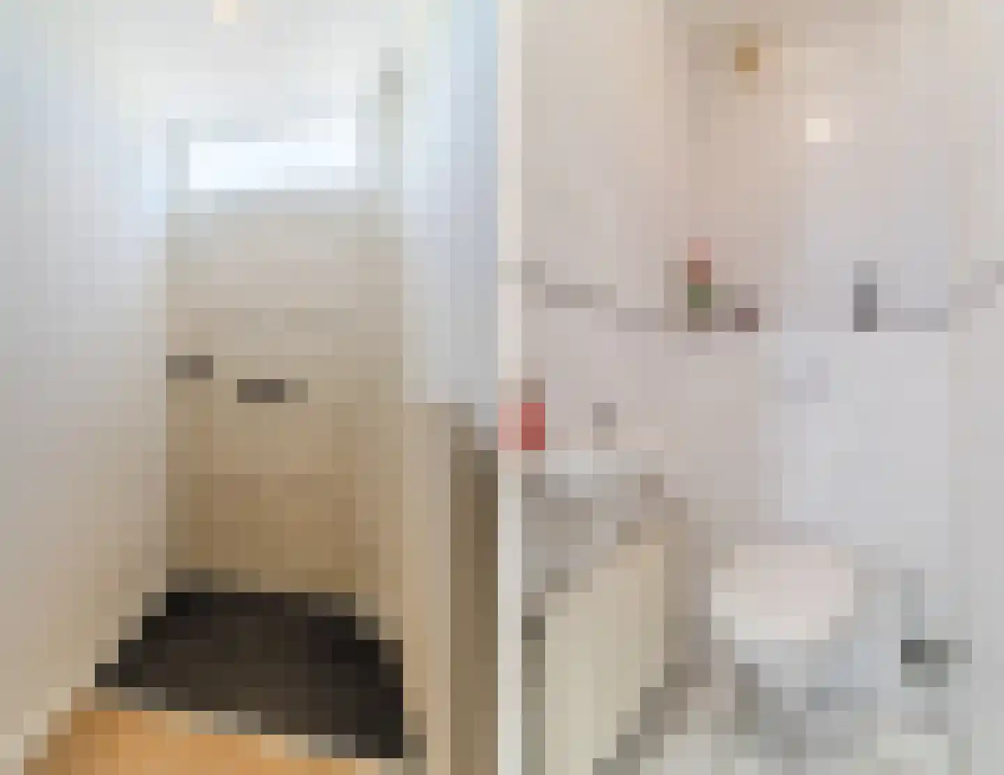 Murik 6 Geldrop thumbnail 11