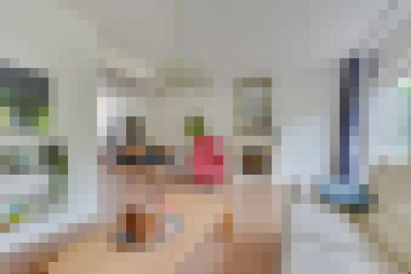 Murillohof 10 Alkmaar thumbnail 15