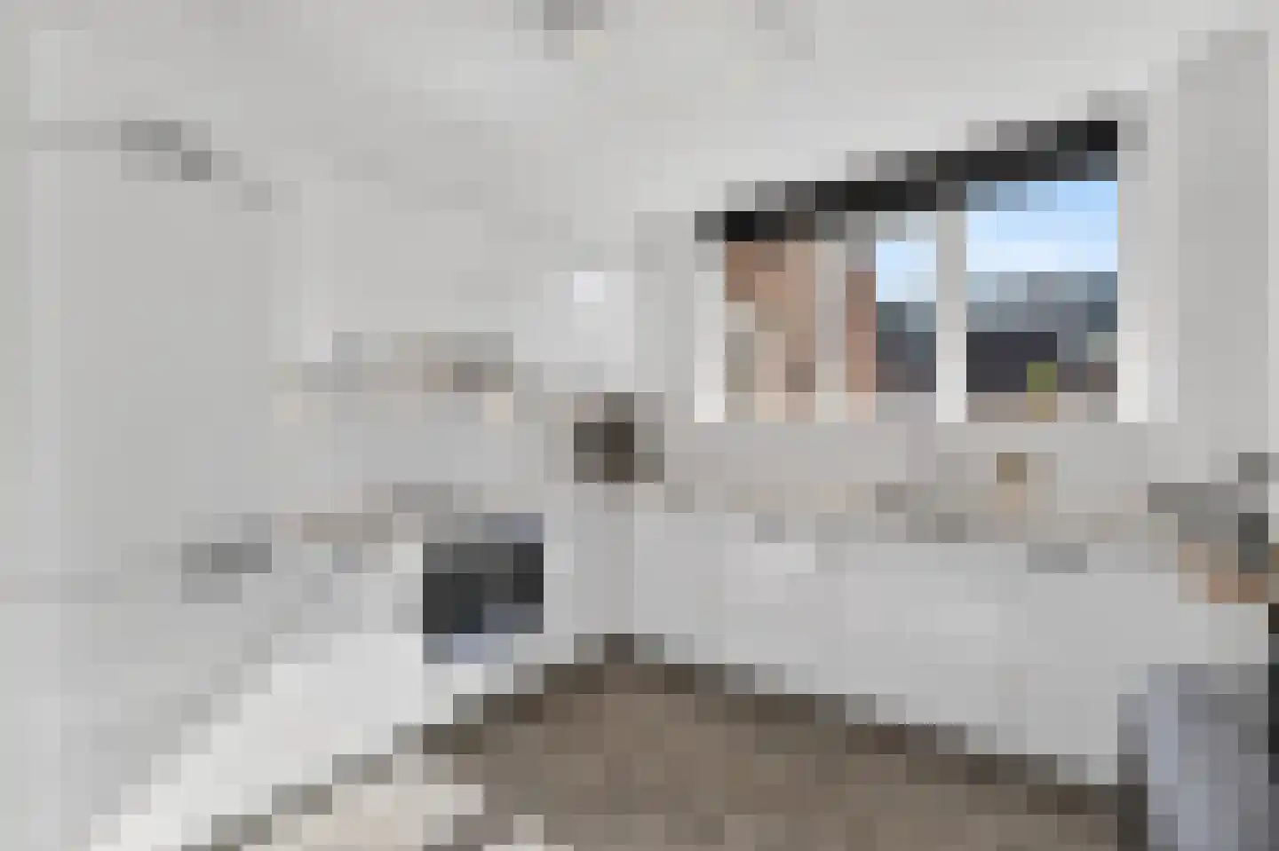 Murillohof 14 Alkmaar thumbnail 10