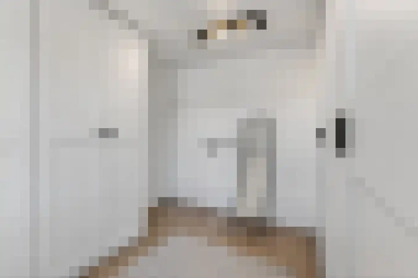 Murillohof 14 Alkmaar thumbnail 19