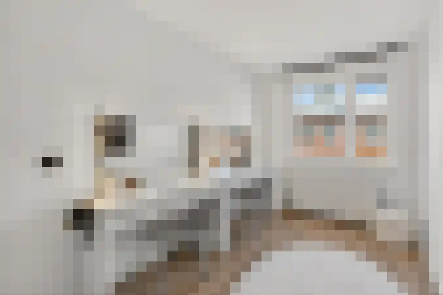 Murillohof 14 Alkmaar thumbnail 20