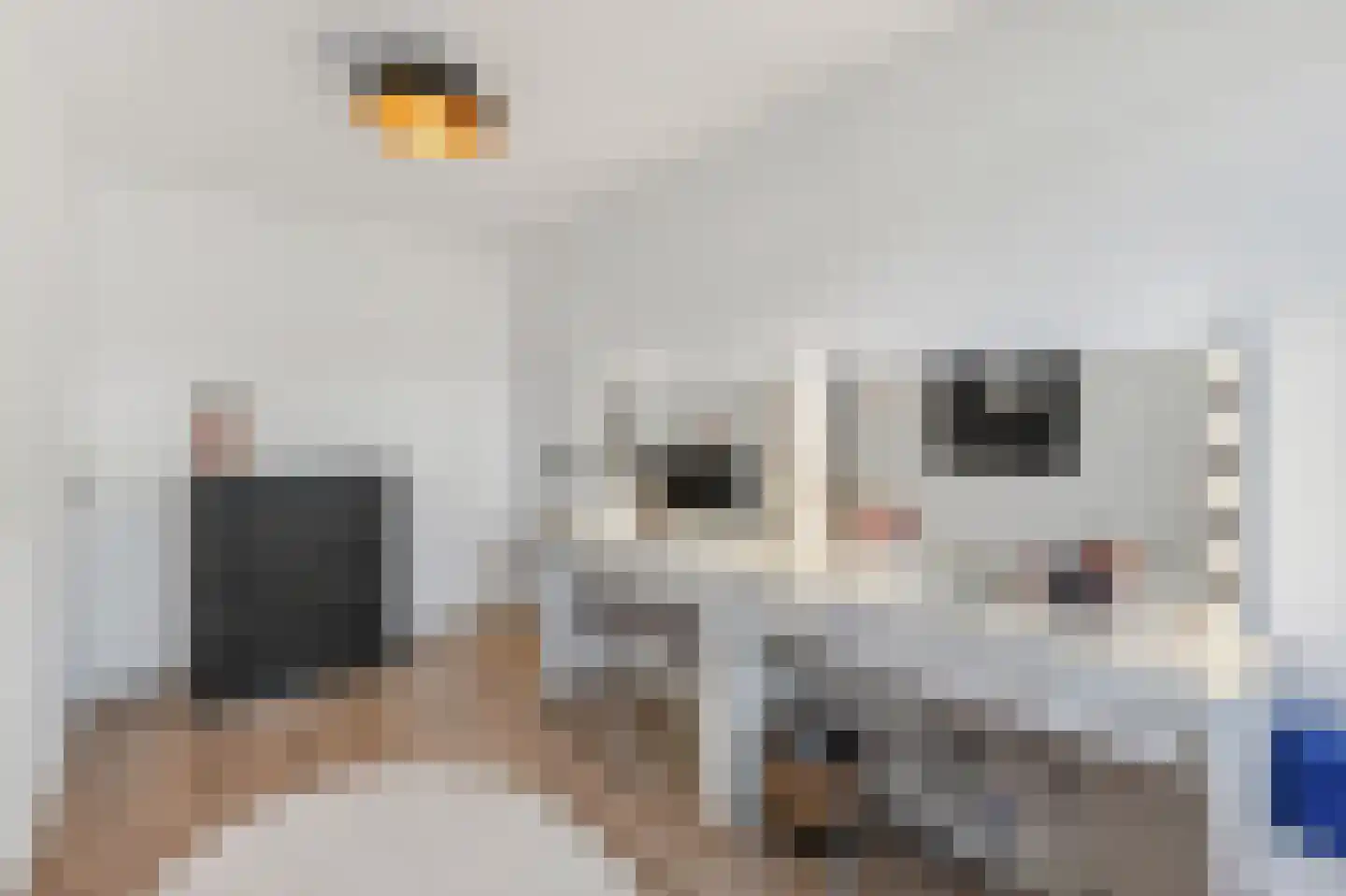 Murillohof 14 Alkmaar thumbnail 21