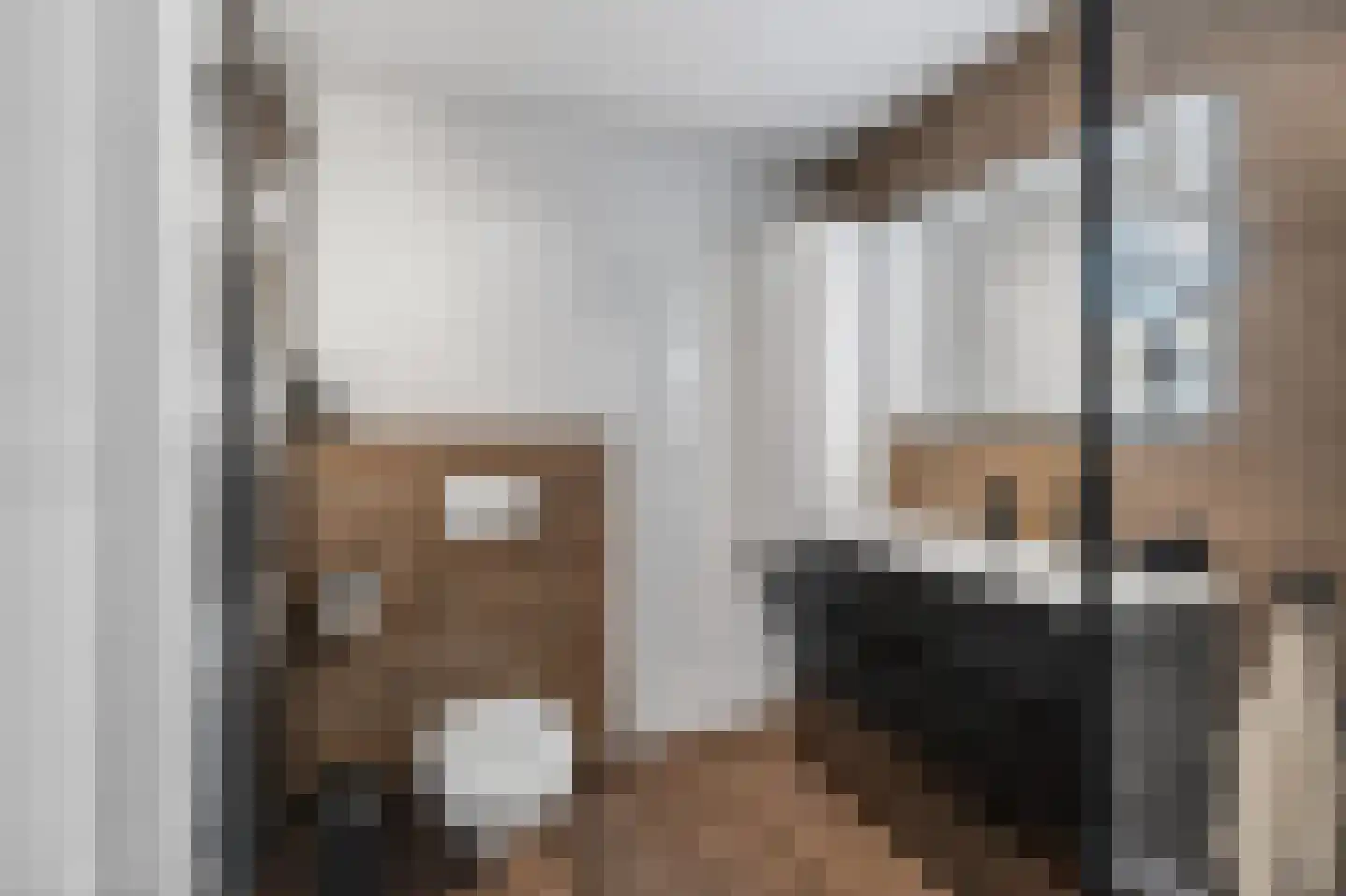 Murillohof 14 Alkmaar thumbnail 23