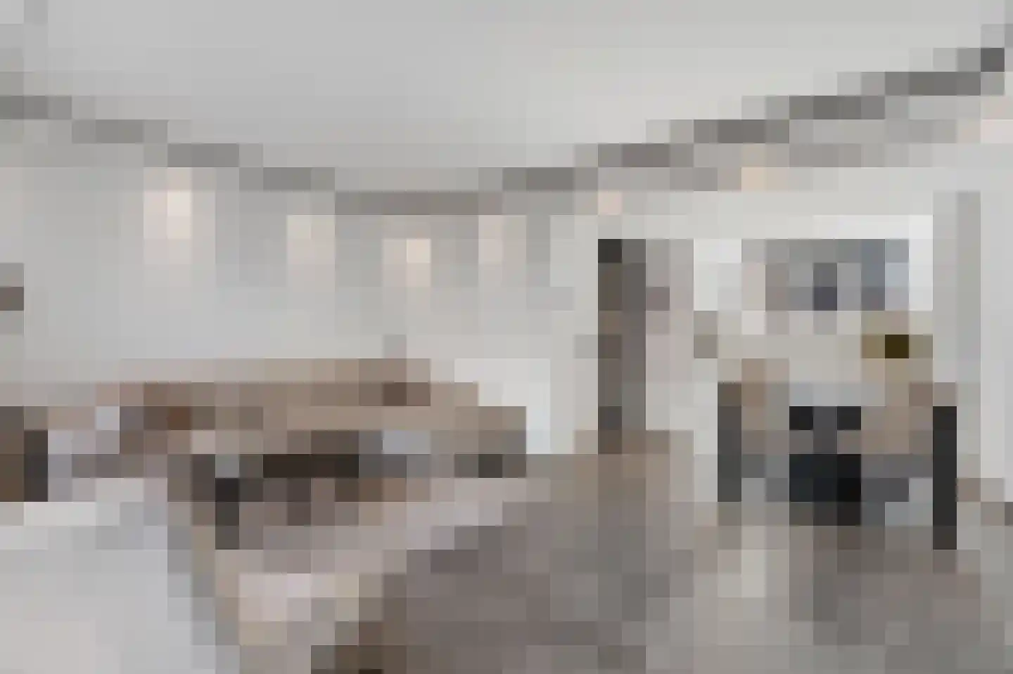 Murillohof 14 Alkmaar thumbnail 5