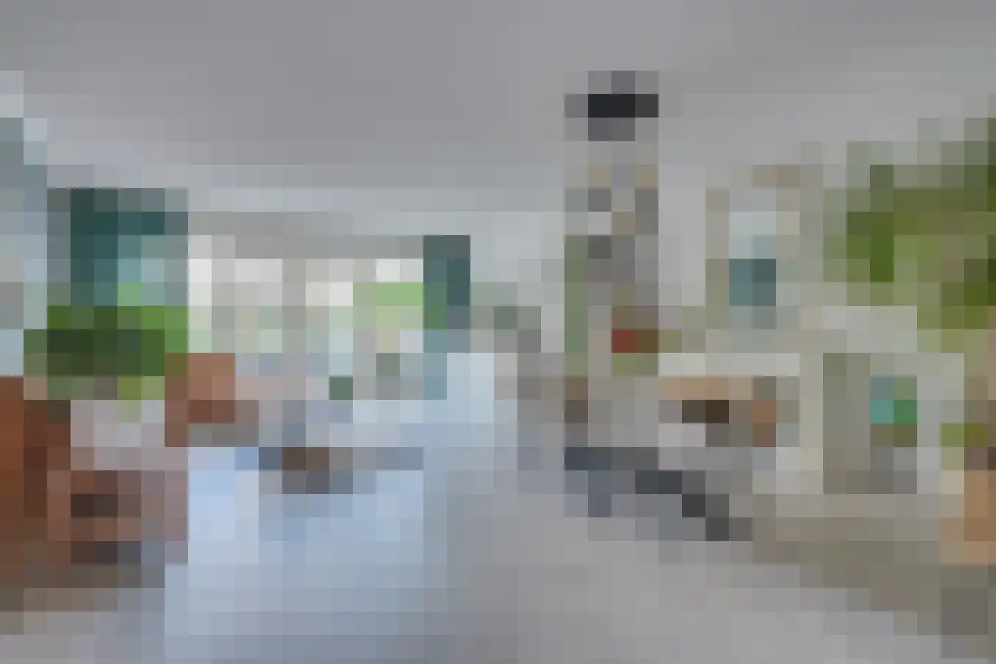 Murillohof 30 Alkmaar thumbnail 10
