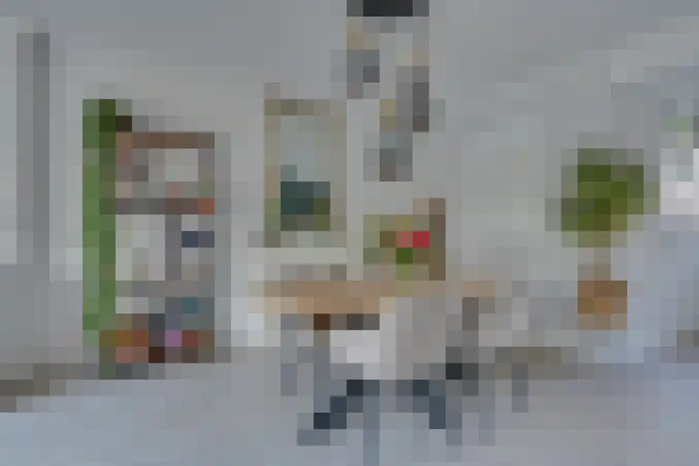 Murillohof 30 Alkmaar thumbnail 15