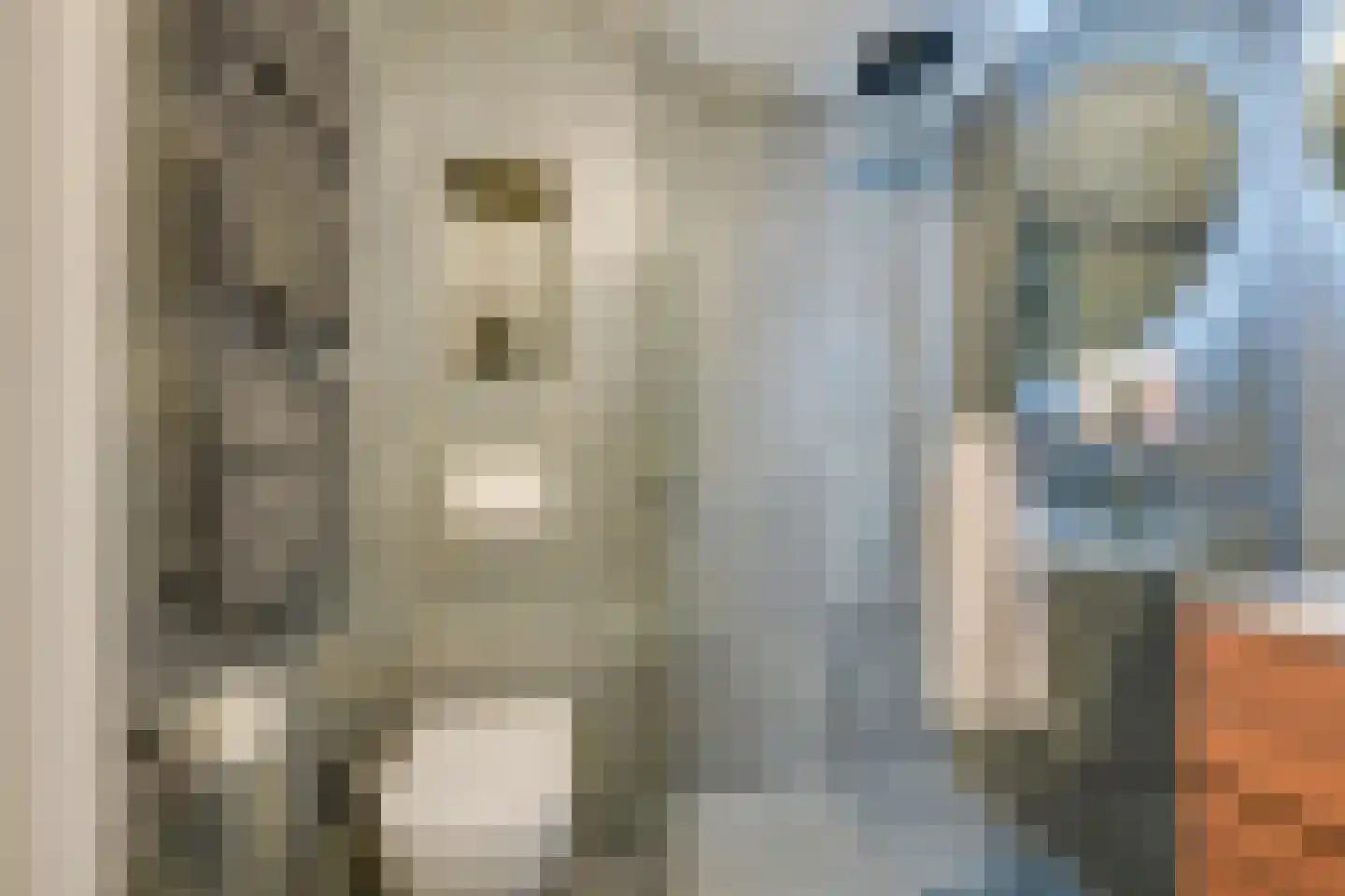 Murillohof 30 Alkmaar thumbnail 29
