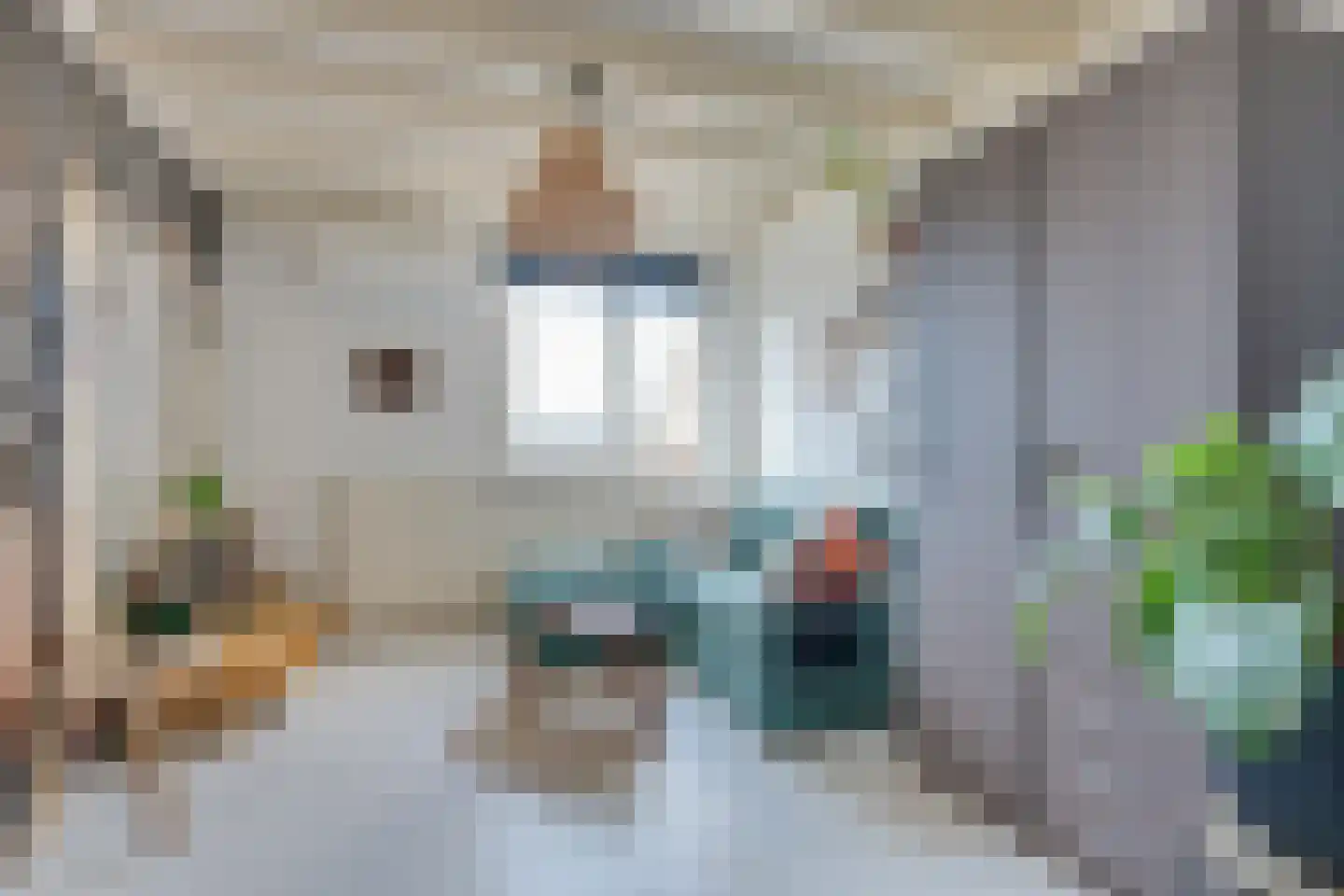 Murillohof 30 Alkmaar thumbnail 39