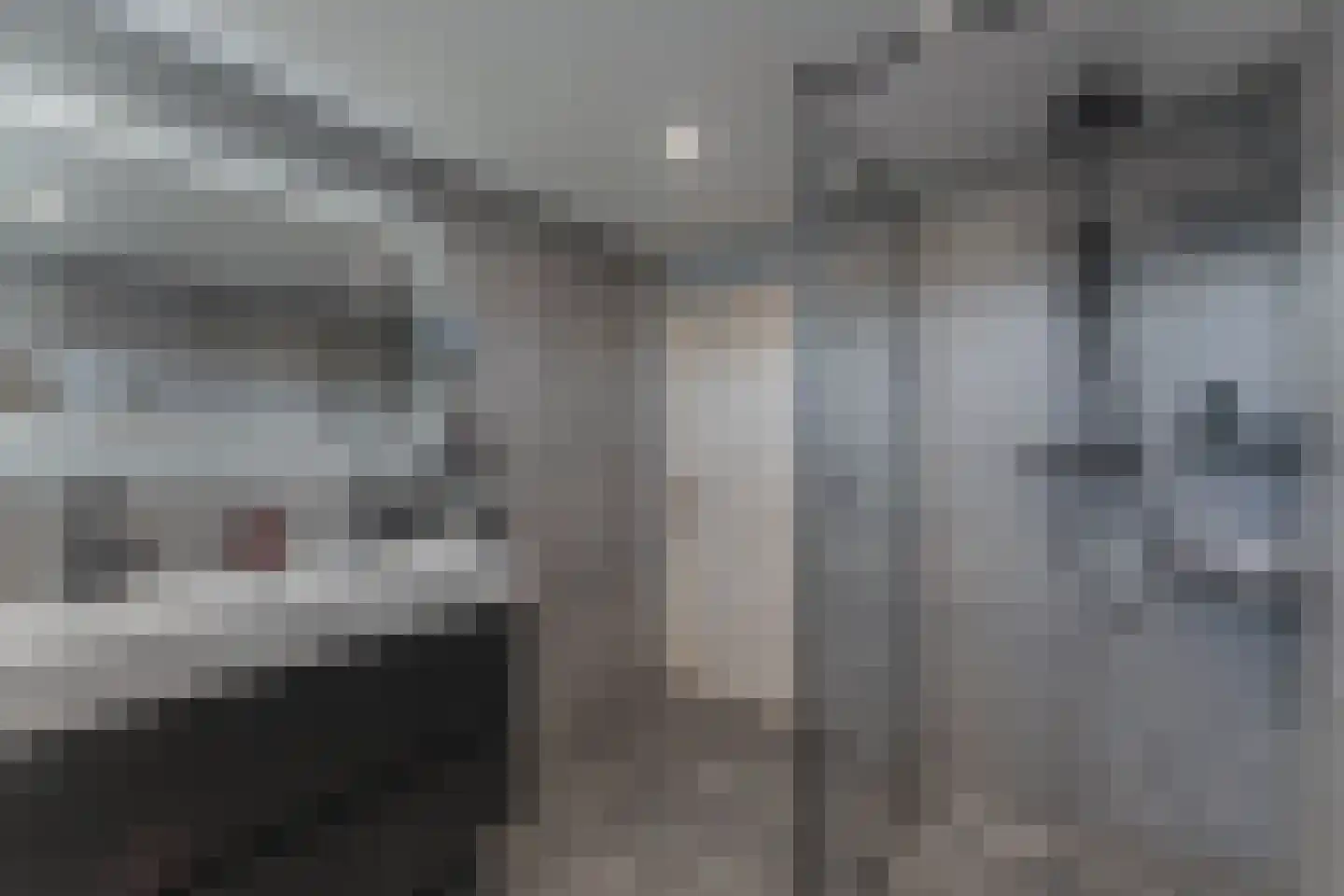 Murillolaan 22 Andijk thumbnail 30
