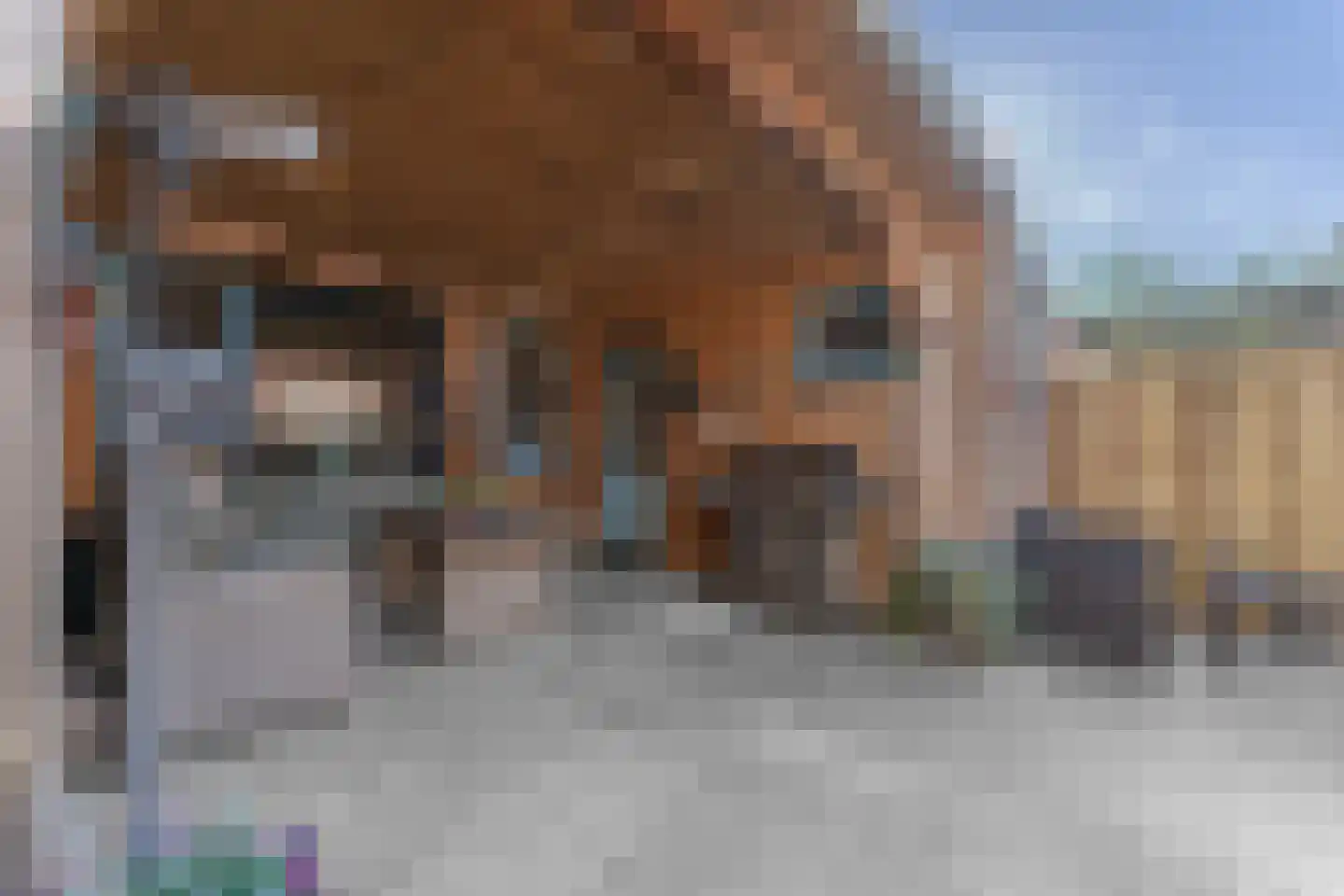 Murillolaan 22 Andijk thumbnail 44