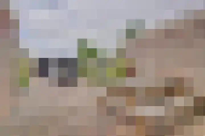 Murillolaan 34 Andijk thumbnail 26