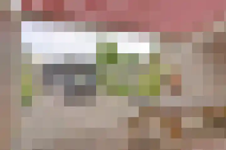 Murillolaan 34 Andijk thumbnail 31