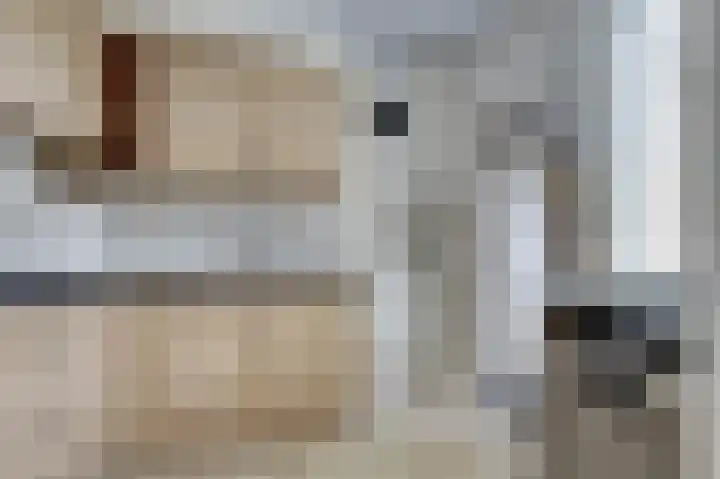 Murillolaan 34 Andijk thumbnail 7