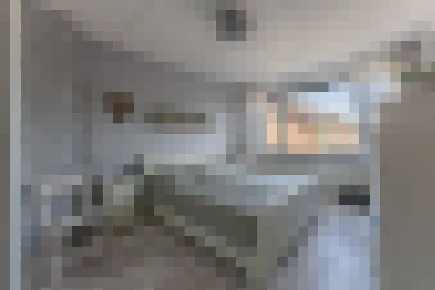 Murillolaan 43 Andijk thumbnail 27