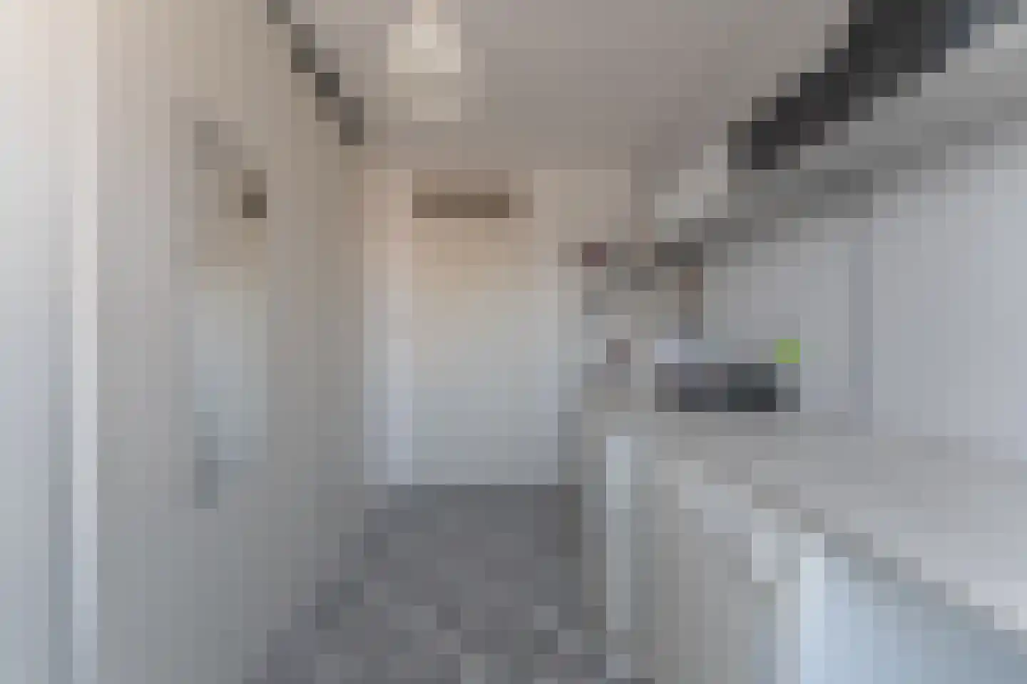 Murillolaan 43 Andijk thumbnail 35