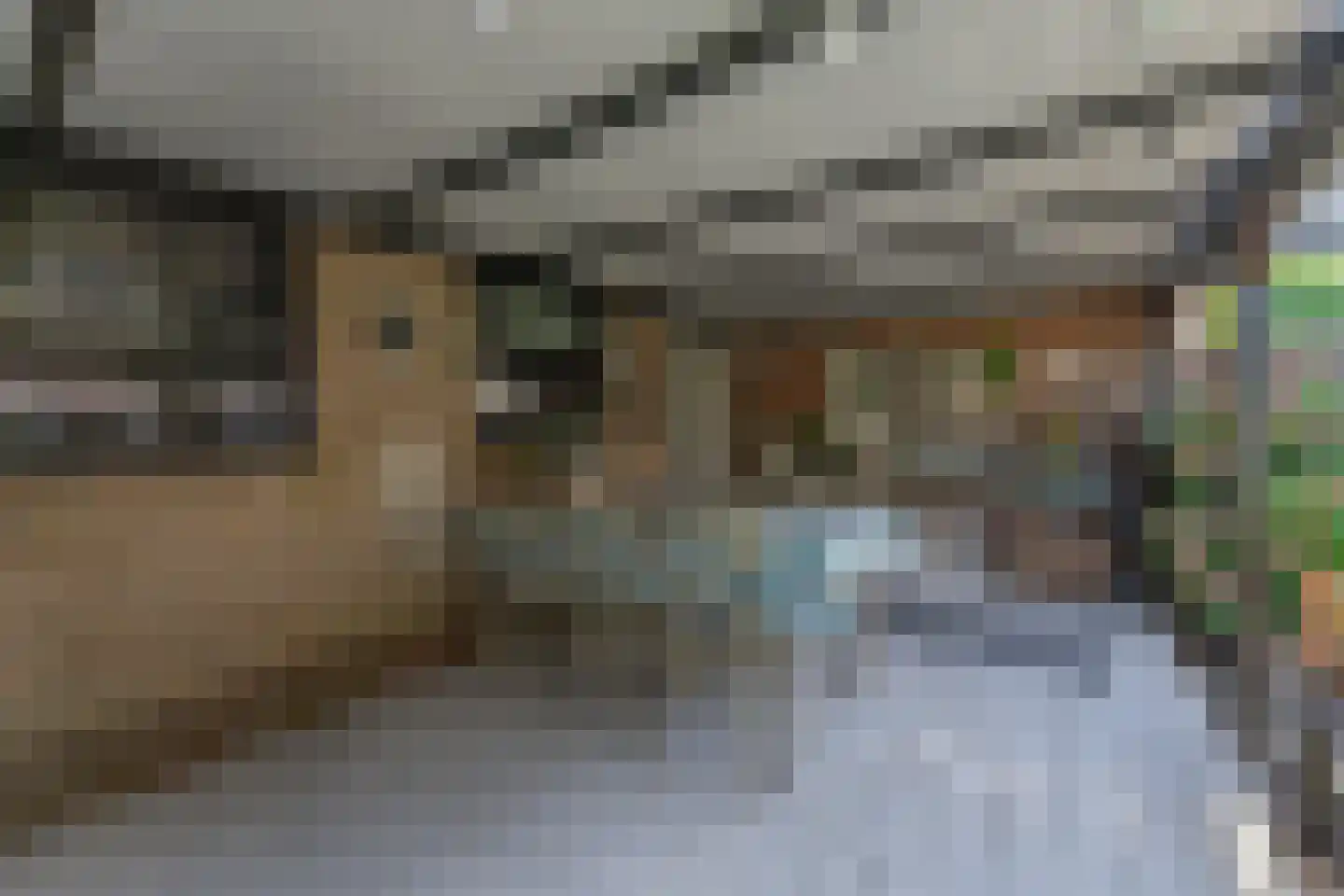 Murillolaan 43 Andijk thumbnail 45