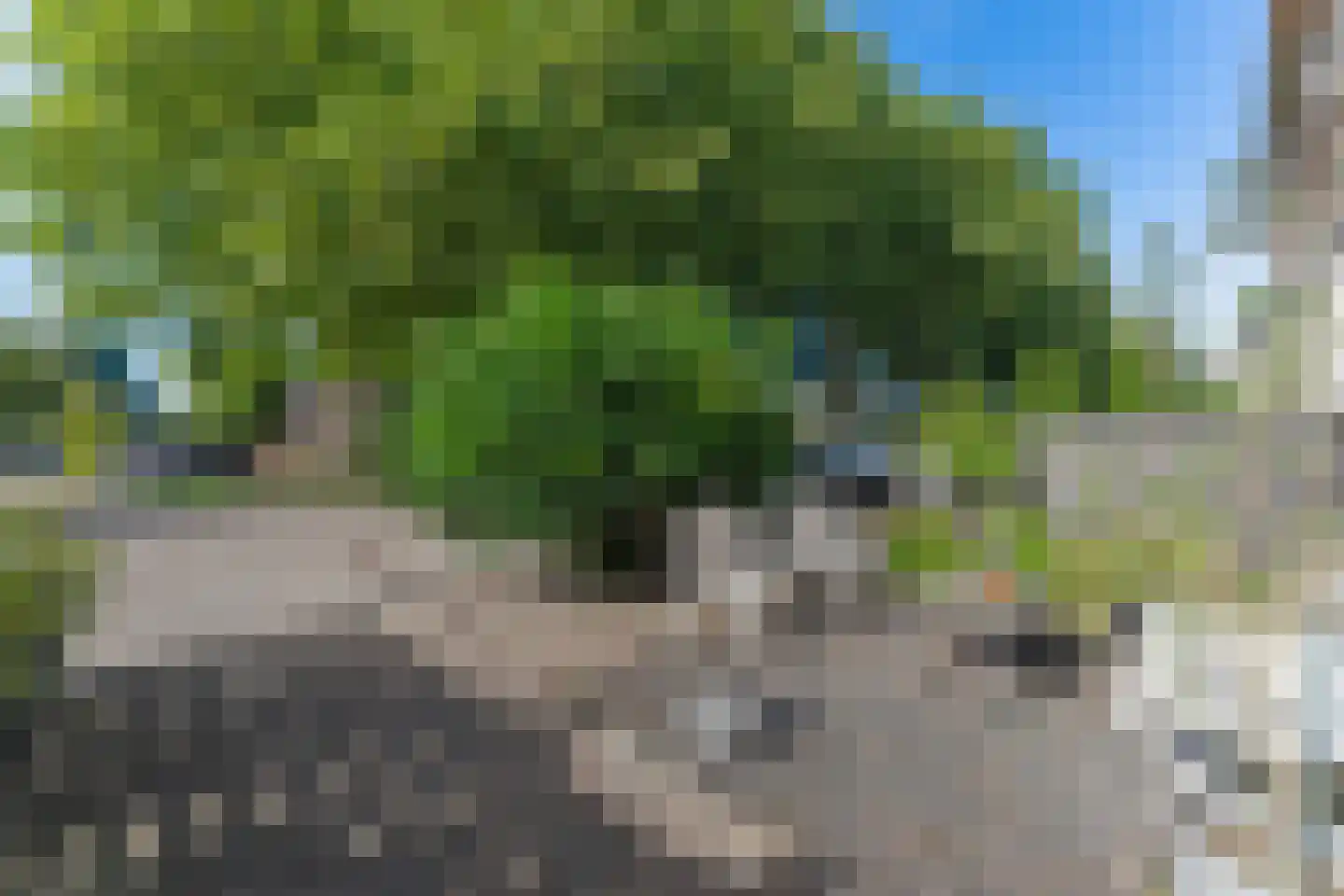 Murillolaan 43 Andijk thumbnail 55