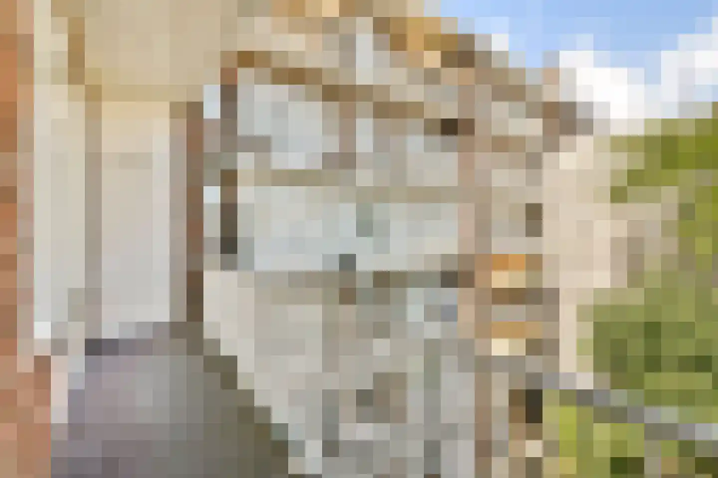 Murillostraat 12 3 Amsterdam thumbnail 11