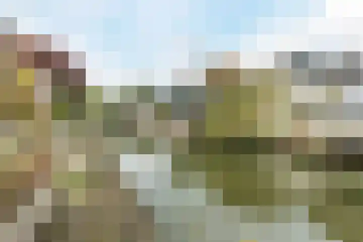 Murillostraat 36 Bovenkarspel thumbnail 33