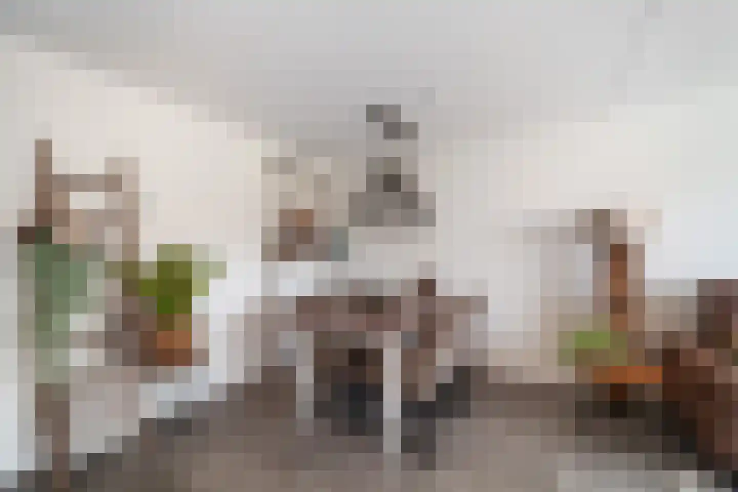 Murraijstraat 48 Wateringen thumbnail 13