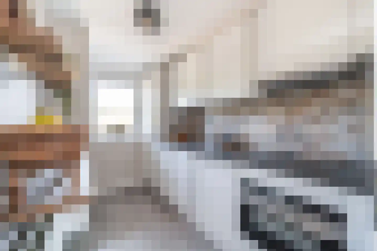 Murraijstraat 48 Wateringen thumbnail 15