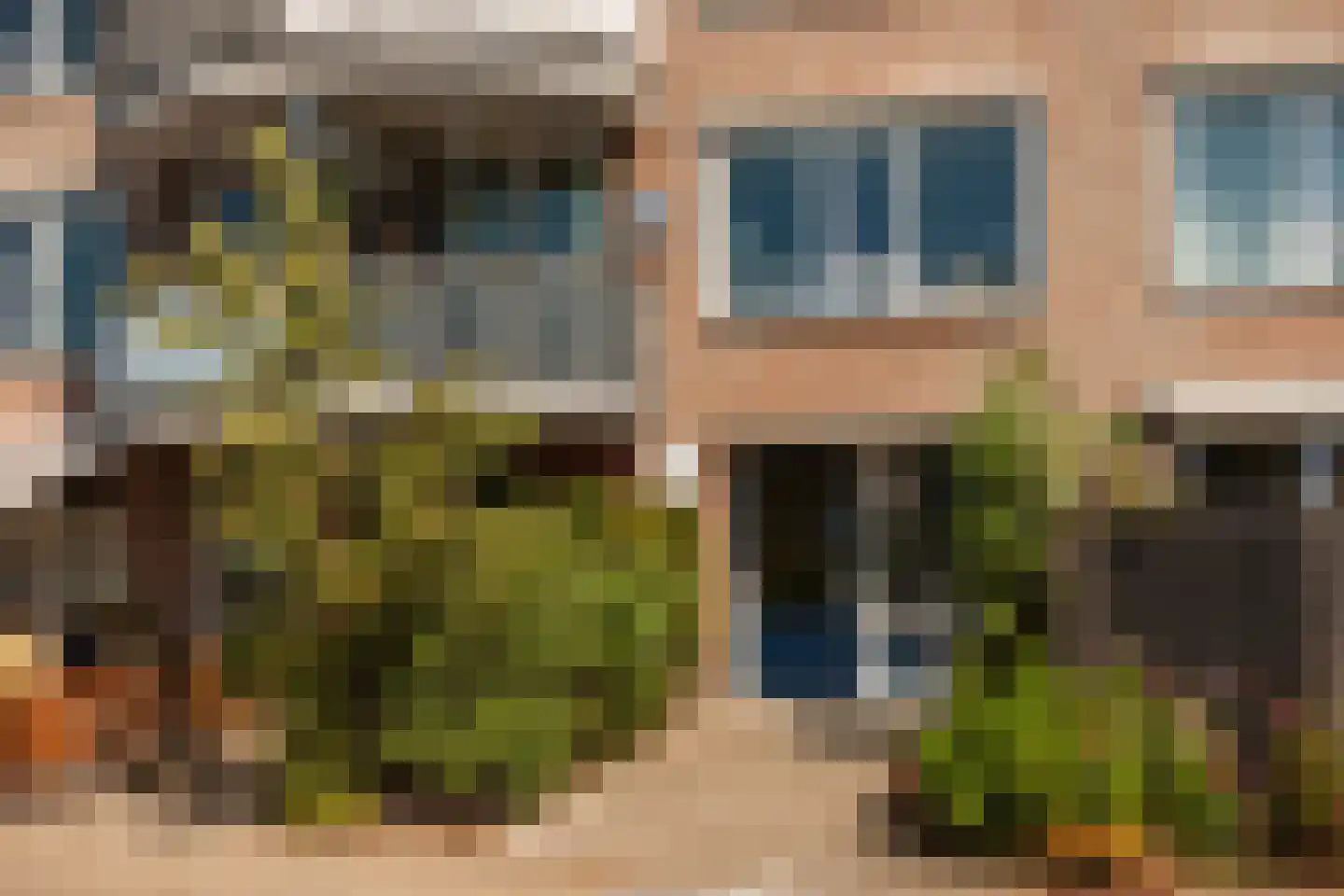 Murraijstraat 48 Wateringen thumbnail 5