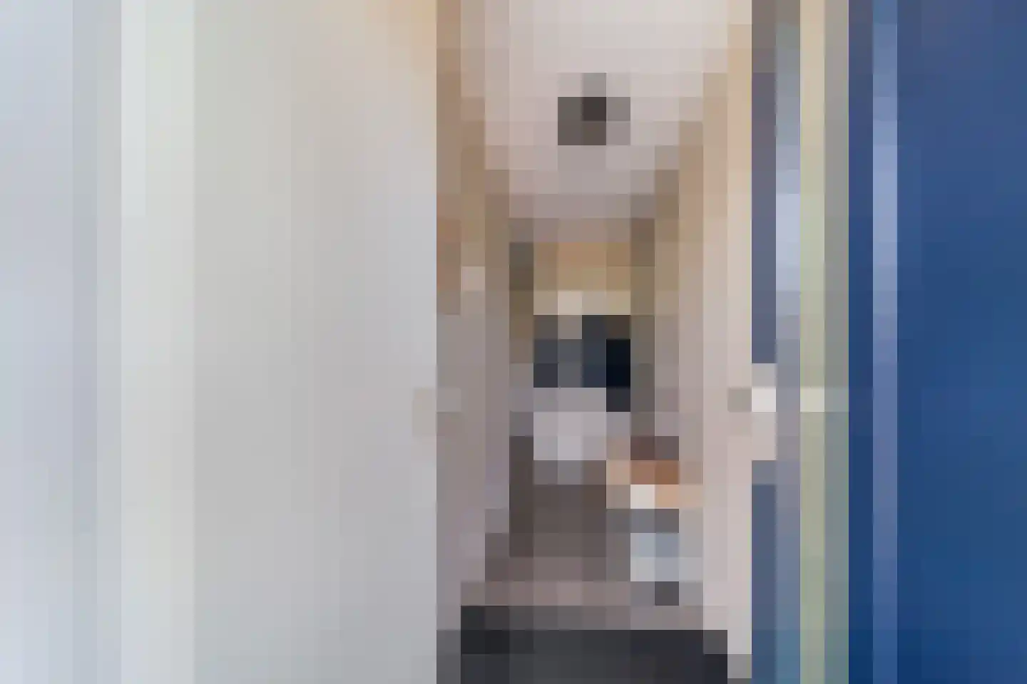 Murraijstraat 48 Wateringen thumbnail 8