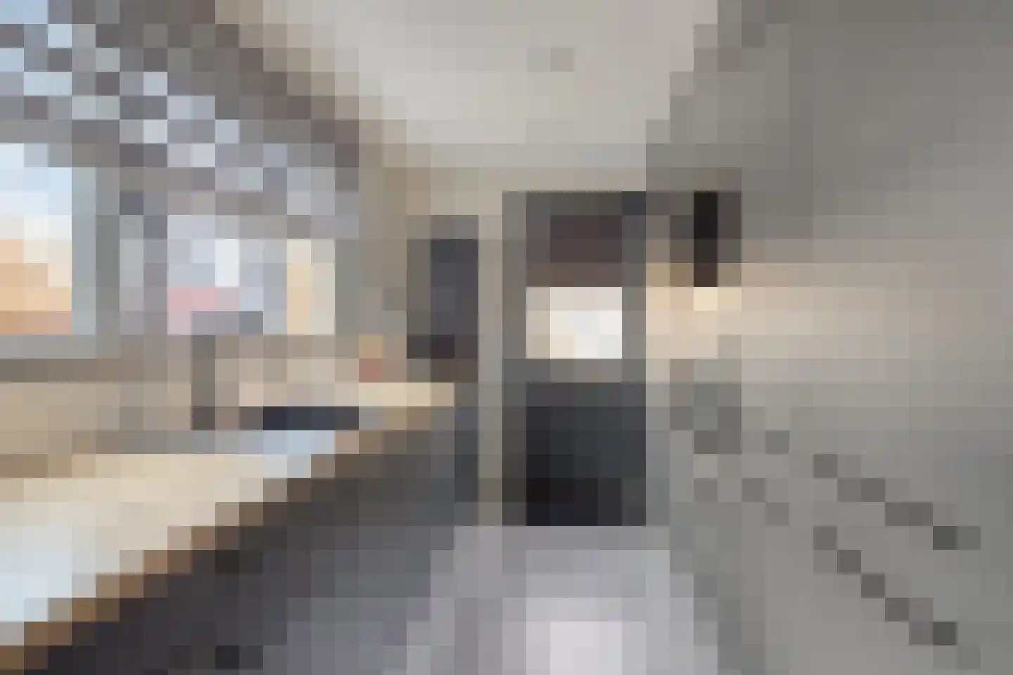 Murraystraat 63 Pernis Rotterdam thumbnail 7
