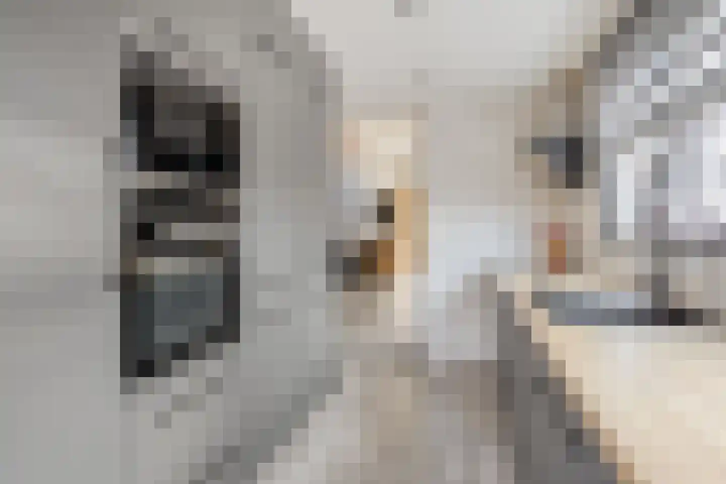 Murraystraat 63 Pernis Rotterdam thumbnail 8