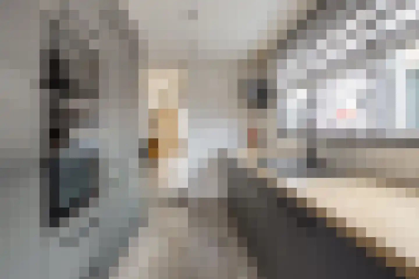 Murraystraat 63 Pernis Rotterdam thumbnail 9