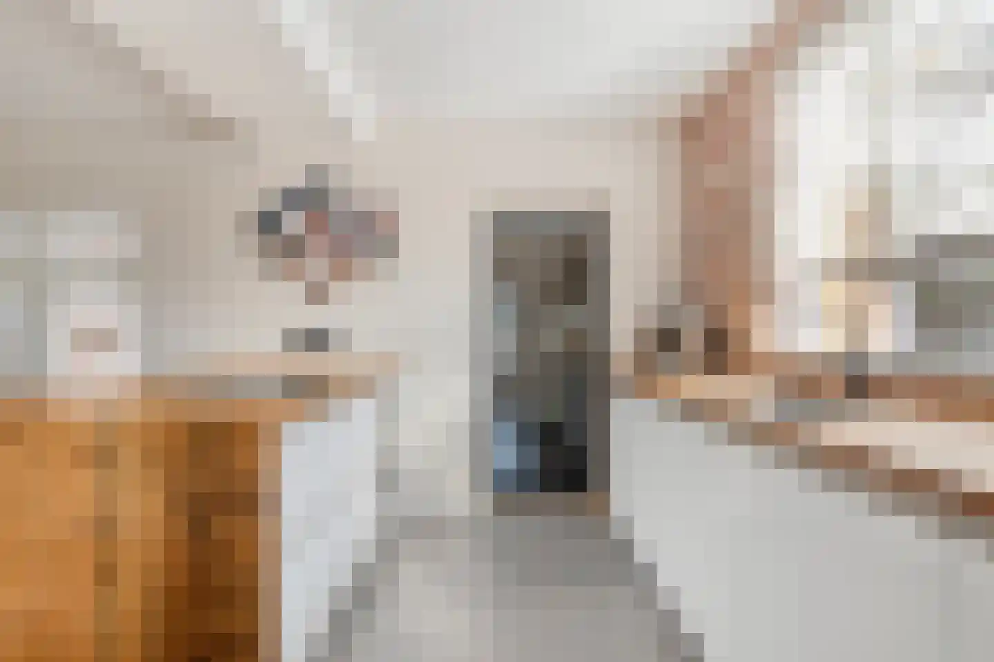 Murseltseweg 15 Bergen L thumbnail 13