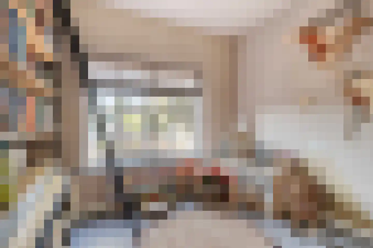 Murseltseweg 15 Bergen L thumbnail 17