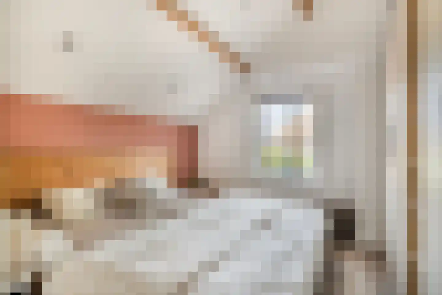 Murseltseweg 15 Bergen L thumbnail 38