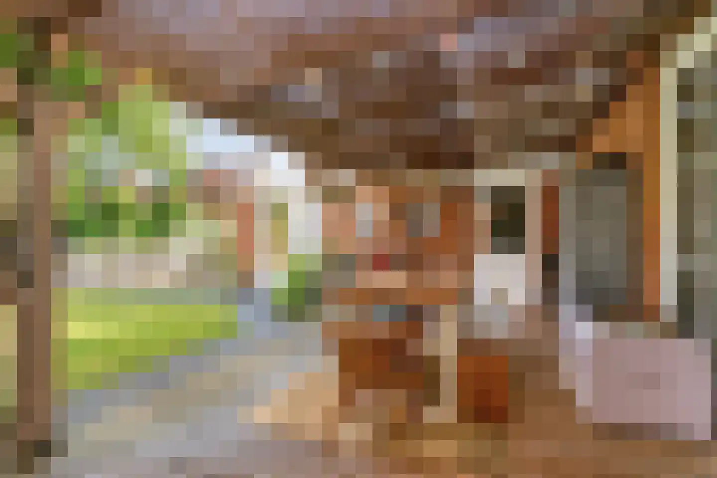 Murseltseweg 15 Bergen L thumbnail 44