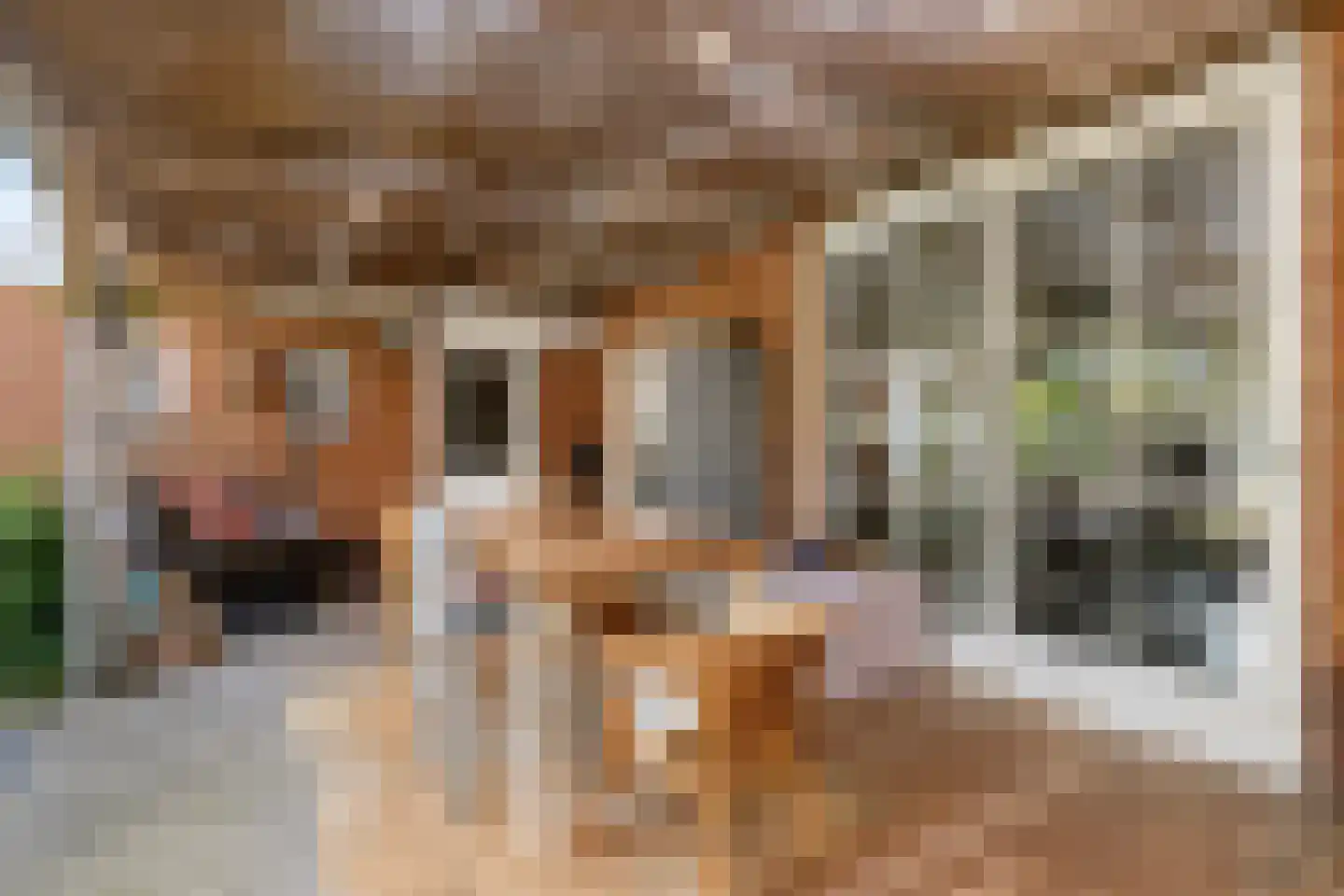 Murseltseweg 15 Bergen L thumbnail 45
