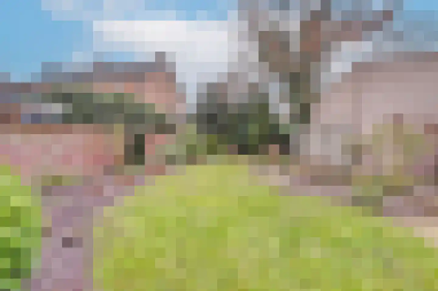 Murseltseweg 7 a Bergen L thumbnail 30
