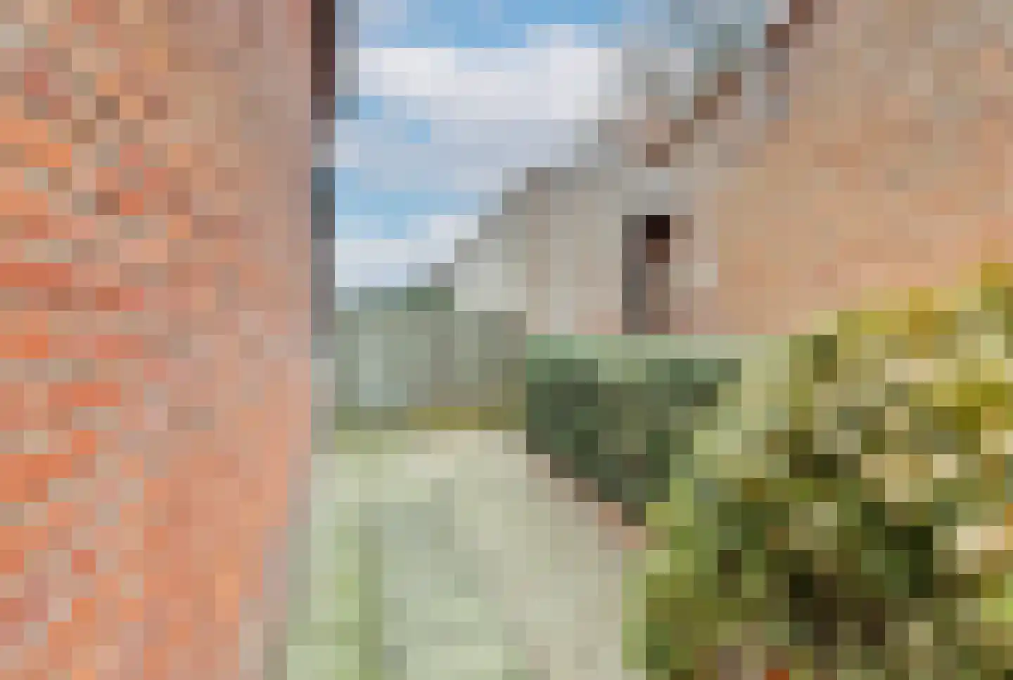 Murseltseweg 7 a Bergen L thumbnail 33