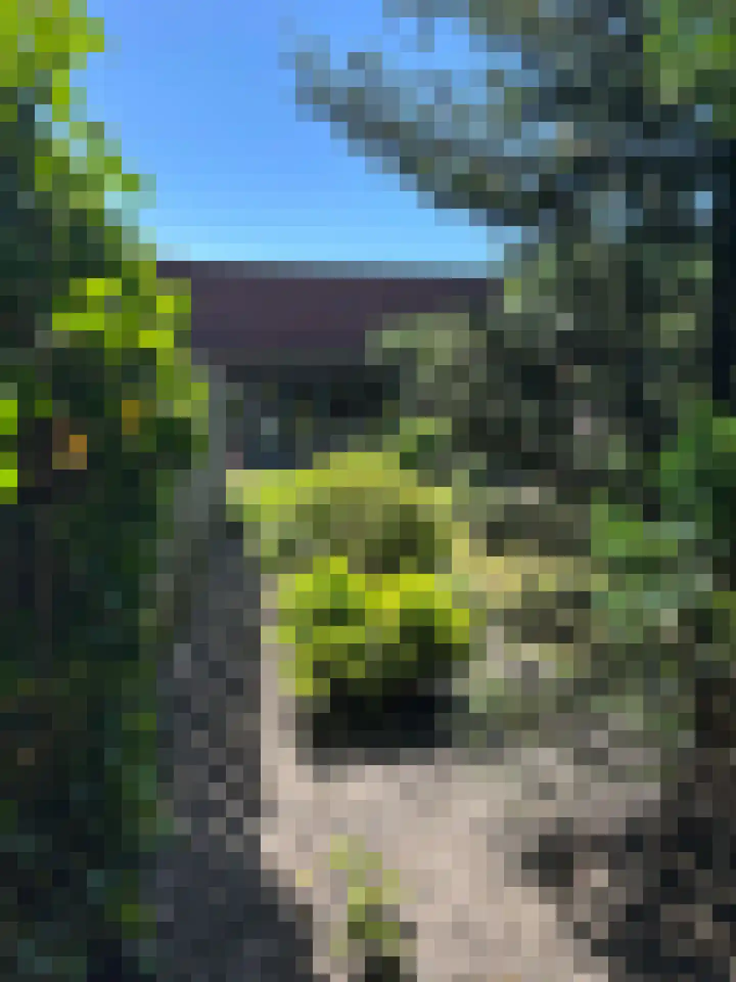 Murseltseweg 7 a Bergen L thumbnail 35