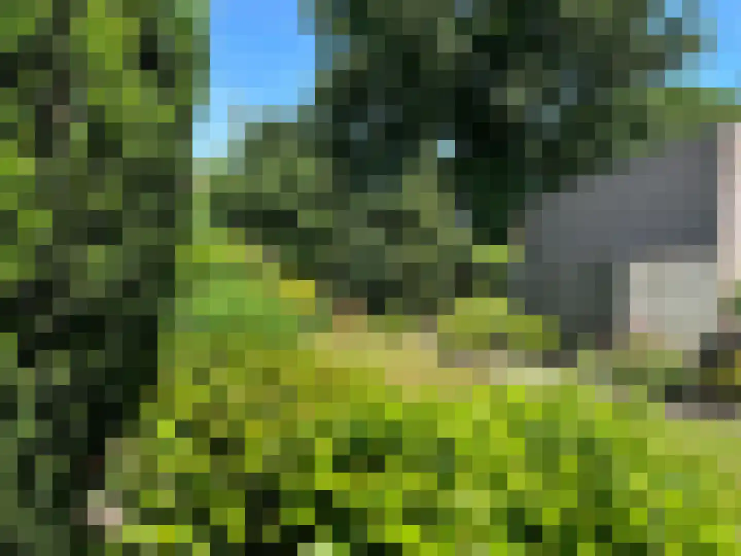 Murseltseweg 7 a Bergen L thumbnail 36