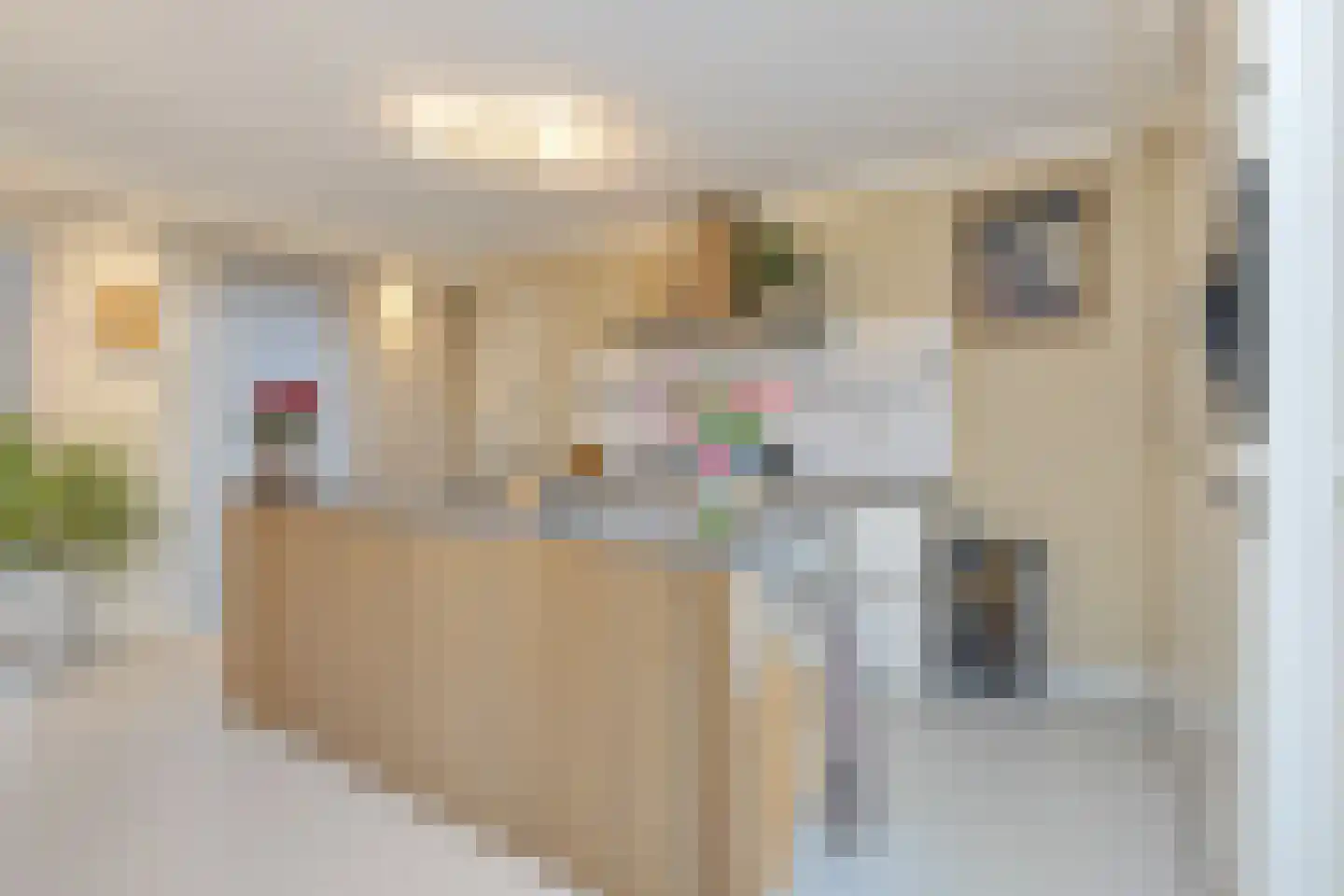 Muscarilaan 11 Breezand thumbnail 12