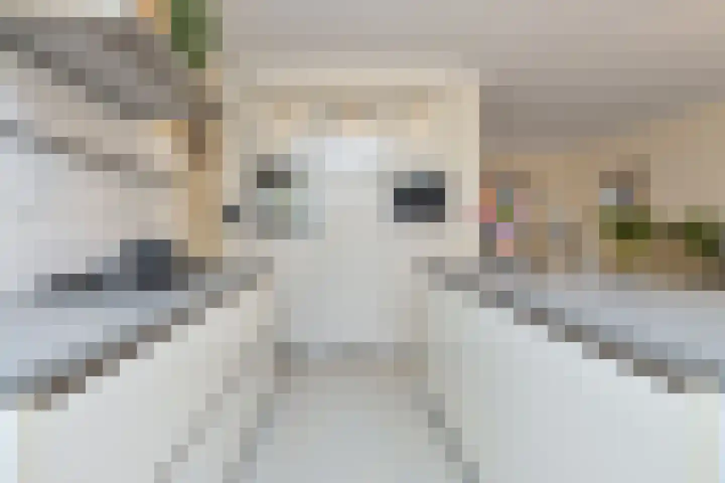 Muscarilaan 11 Breezand thumbnail 13