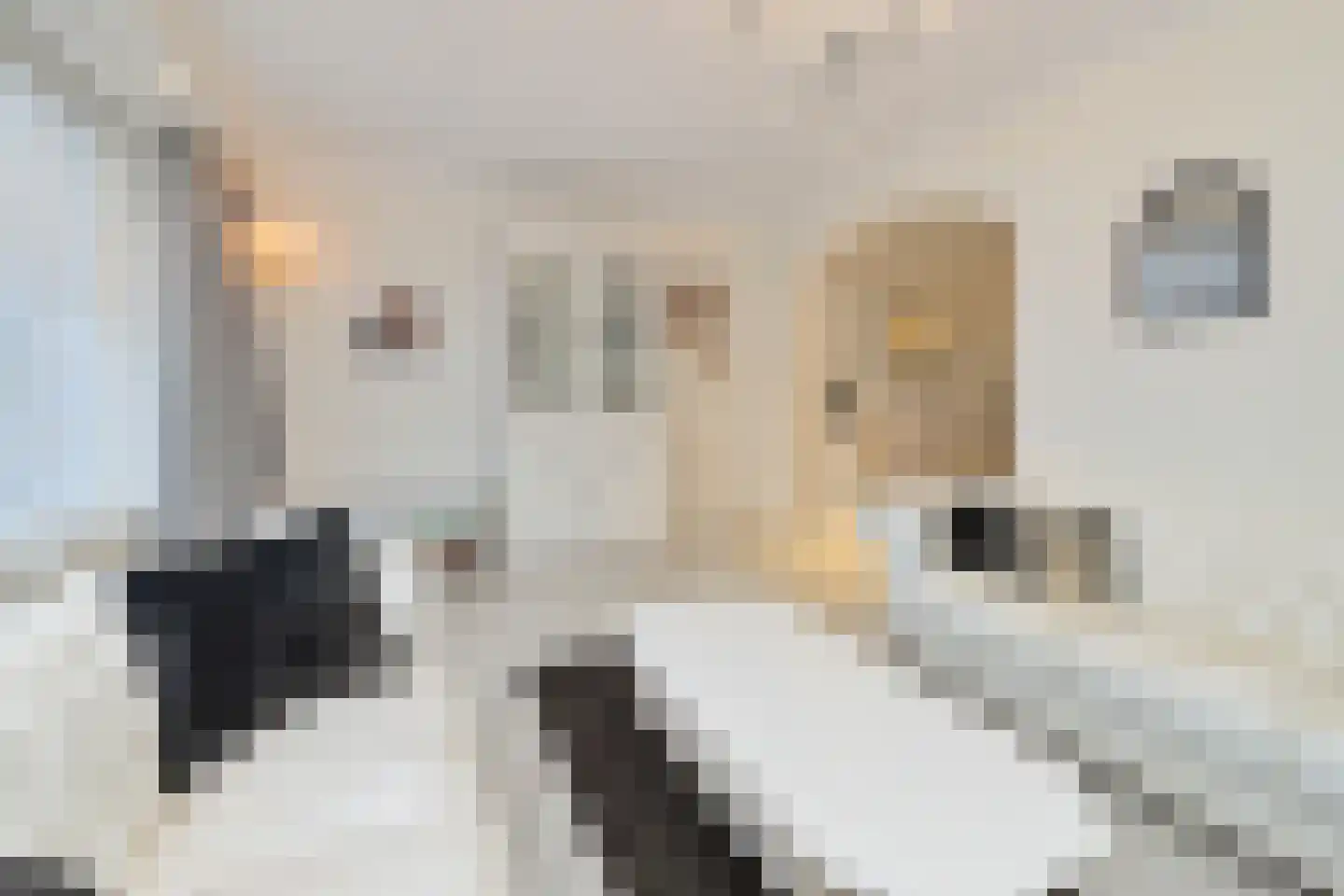 Muscarilaan 11 Breezand thumbnail 9