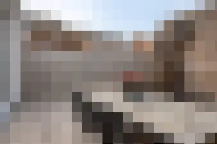 Muschbergweg 1 B Eindhoven thumbnail 23