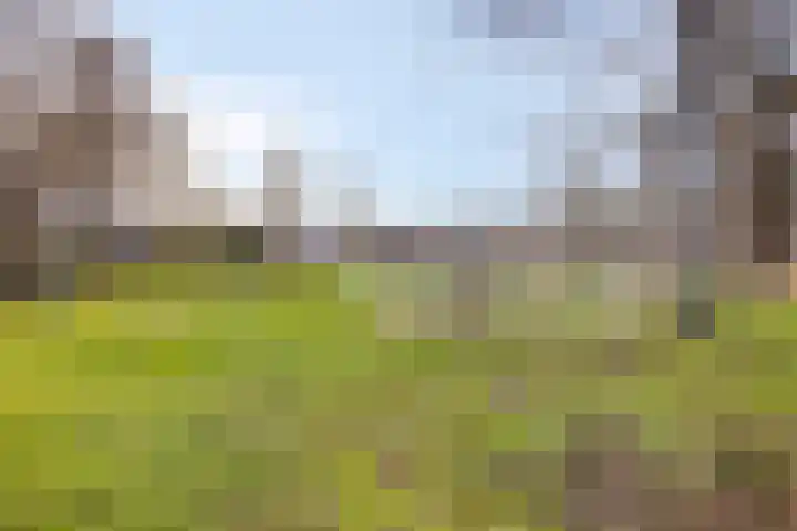 Muschbergweg 1 B Eindhoven thumbnail 27