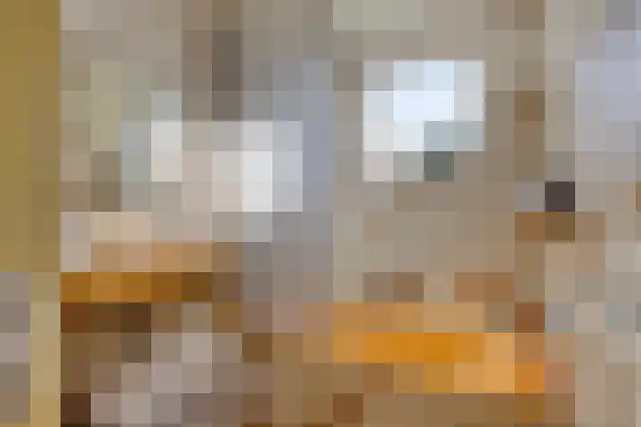 Museumlaan 14 Koog aan de Zaan thumbnail 20