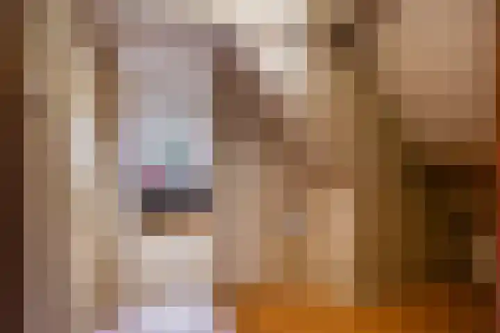 Museumlaan 14 Koog aan de Zaan thumbnail 27